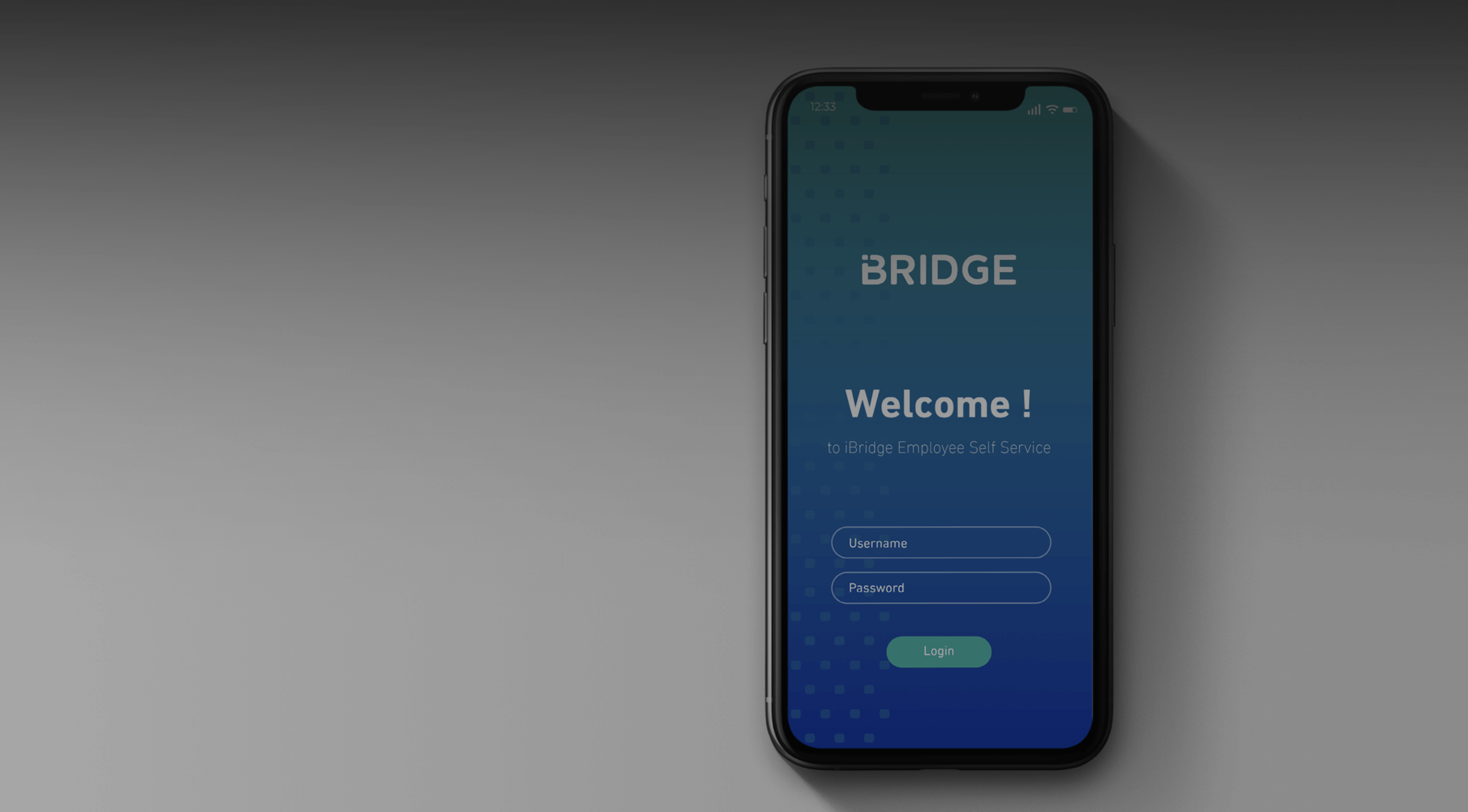 IBRIDGE